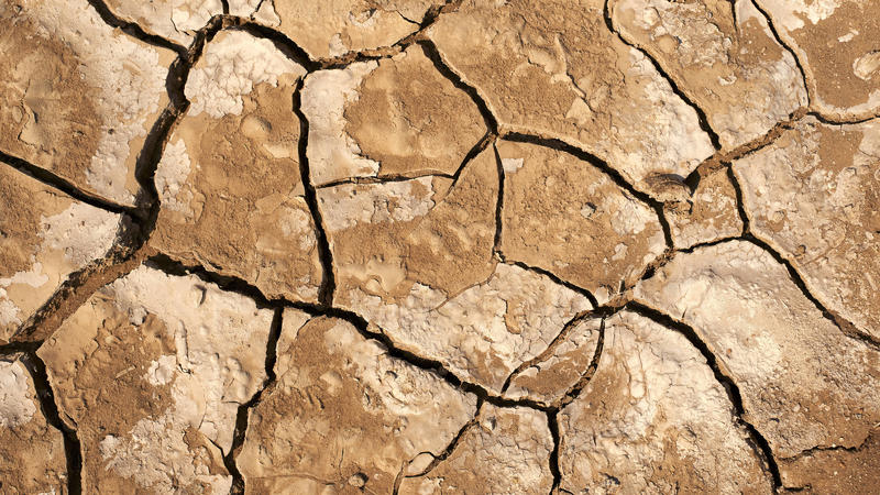 Trockenheit führt zu massiven Rissen im Boden