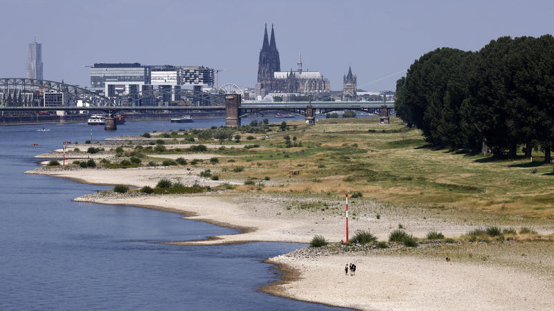 Niedrigwasser im Rhein, Poller Rheinwiesen, Köln, Deutschland, 24. Juli 2022