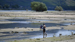  Niedrigwasser auf dem Rhein 07.08.2022 Lorchhausen. Nach wochenlanger Trockenheit, Niedrigwasser auf dem Rhein. Ein Mensch läauft über die Steine des ausgetrockneten Flussbetts. Lorchhausen Lorchhausen Rheinland-Pfalz Germany *** Low water on the Rhine 07 08 2022 Lorchhausen After weeks of drought, low water on the Rhine A man runs over the stones of the dried up riverbed Lorchhausen Lorchhausen Rheinland Pfalz Germany