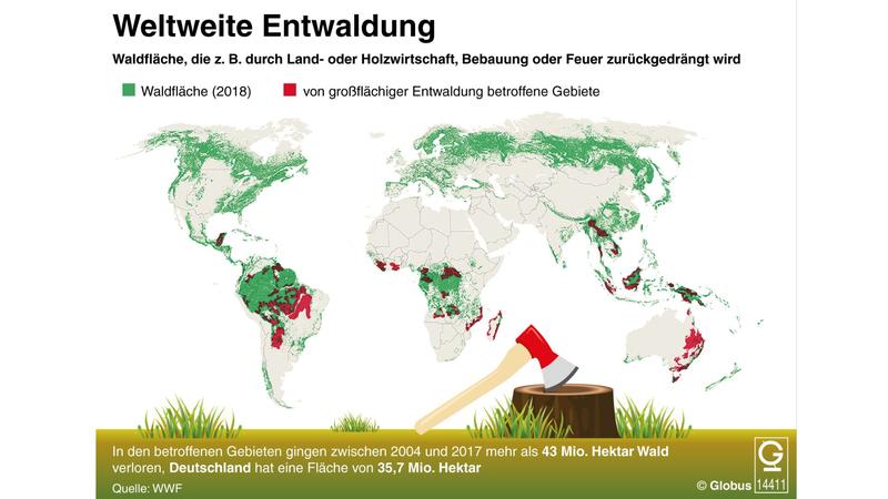 Grafik, Abholzung der Wälder weltweit. Quelle: WWF