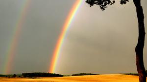 Frankfurt (Oder) (Brandenburg): Über einem Feld nahe Frankfurt (Oder) in Brandenburg zeichnet sich am 22.09.2004 ein doppelter Regenbogen ab. Zum Herbstanfang zeigt sich das Septemberwetter wechselhaft. Nach Angaben der Meteorologen hält das Wetter mit Regenschauern, stürmischem Wind und Sonnenschein bis zum Wochenende an.  (Ffo101-230904)