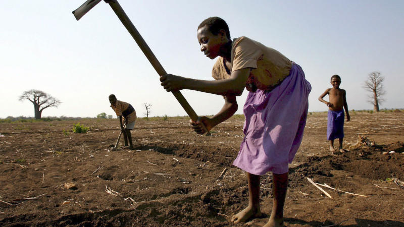 ARCHIV - Bauern bearbeiten am 13.10.2005 ein vertrocknetes Feld bei Blantyre in Malawi. Immer häufigere Dürren durch Klimawandel und die Sprunghaftigkeit der Nahrungsmittelpreise sind in Entwicklungsländern «eine Frage von Leben und Tod», warnen Hilfsorganisationen und fordern ein energisches Vorgehen der G20 gegen Spekulationen mit Nahrungsmitteln. Der G20-Gipfel findet vom 18.06.2012 bis 19.06.2012 im mexikanischen Badeort Los Cabos statt. Foto: Hrusa (zu dpa-Themenpaket «Kritik an G20: Milliarden für Banken - aber kein Geld für Hungernde» vom 15.06.2012)  +++(c) dpa - Bildfunk+++