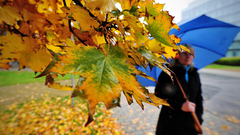 Frau mit Regenschirm und Herbstblättern