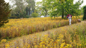 Royal Botanic Garden in Wakehurst: Prärie Landschaft