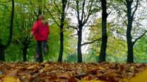 Ein junges Mädchen läuft am Sonntag (11.10.2009) im Hamburger Stadtpark über einen Teppich aus bunten Blättern. Nach Angaben der Meteorologen bleibt das Wetter in den kommenden Tagen weiterhin wechselhaft mit Temperaturen um 13 Grad. Foto: Kay Nietfeld dpa/lno  +++(c) dpa - Bildfunk+++