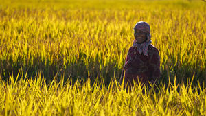 17.10.2022, Nepal, Bhaktapur: Eine Bäuerin steht während der Reisernte lächelnd auf einem Feld. Die Landwirtschaft ist die Hauptnahrungs-, Einkommens- und Beschäftigungsquelle für die Mehrheit der Menschen in Nepal. Foto: Niranjan Shrestha/AP/dpa +++ dpa-Bildfunk +++