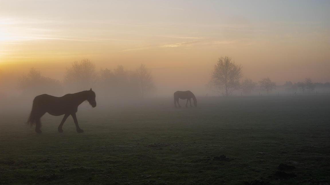 Wettervorhersage November 2023 Wintereinbruch oder goldener Herbst