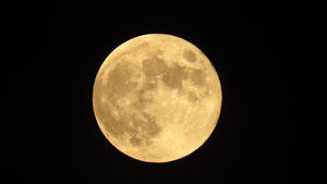  Full moon Full moon over the city in Sibenik, Croatia on November 8, 2022. DuskoxJaramaz/PIXSELL