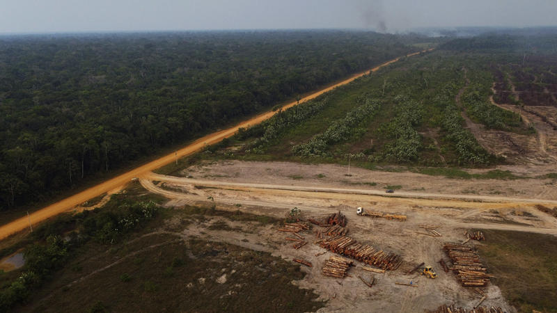 FILE - An area of forest on fire near a logging area in the Transamazonica highway region, in the municipality of Humaita, Amazonas state, Brazil, Sept. 17, 2022. Marina Silva, a former senator and environmental minister, has a message for the U.N. c