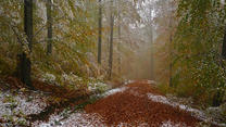 Wintereinbruch im Oktober, The onset of winter in October, Schwäbische Ab, swabian alps