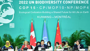 News Themen der Woche KW50 221216 -- MONTREAL, Dec. 16, 2022 -- The opening ceremony of the high-level segment of the second part of the 15th meeting of the Conference of the Parties to the Convention on Biological Diversity COP15 is held in Montreal, Canada, Dec. 15, 2022.  CANADA-MONTREAL-COP15-PART 2-HIGH-LEVEL SEGMENT-OPENING CEREMONY LianxYi PUBLICATIONxNOTxINxCHN