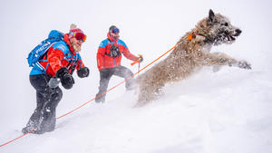 10.01.2023, Tschechien, Pec pod Snezžkou: Zwei Männer und ein Hund sind im Schnee bei einem internationalen Lawinen- und Hundekurs der Bergwacht im Riesengebirge unterwegs. Foto: Taneèek David/CTK/dpa +++ dpa-Bildfunk +++