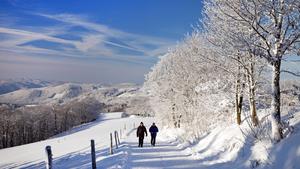 zwei Menschen auf einem Weg in einer Winterlandschaft bei Wildewiese, Deutschland, Nordrhein-Westfalen, Sauerland, Sundern | two wanderer on path in snowy landscape of Wildewiese, Germany, North Rhine-Westphalia, Sauerland, Sundern