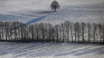 18.01.2023, Nordrhein-Westfalen, Dahmen: Bäume werfen ihren Schatten auf den Schnee in der Eifel. Das Wetter hält in den kommenden Tagen kaum Neuschnee für die Menschen in Nordrhein-Westfalen bereit. Am Donnerstag kann es dann auch tagsüber gebietsweise zu etwas Regen oder Schnee kommen. Foto: Federico Gambarini/dpa +++ dpa-Bildfunk +++
