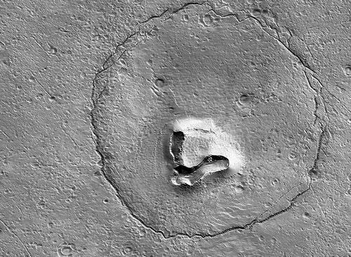 Teile der Marsöberfläche, die aussehen wie ein Bär