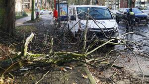 Sturm über Hamburg