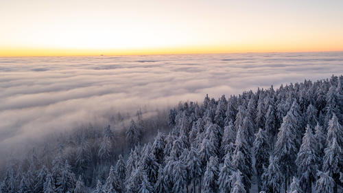 Sonnenaufgang über den Wolken Tief winterlich zeigt sich die Landschaft am Großen Feldberg im Taunus bei Sonnenaufgang. Der Gipfelbereich mit den verschneiten Bäumen mit Raureif ragte aus einer Hochnebeldecke., Schmitten Hessen Deutschland *** Sunrise above the clouds Deep wintry landscape at the Großer Feldberg in Taunus at sunrise The summit area with the snow-covered trees with hoarfrost rose from a blanket of high fog , Schmitten Hesse Germany