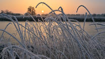 15.02.2023, Brandenburg, Lebus: Farbenprächtig leuchtet der Sonnenaufgang über der Landschaft am deutsch-polnischen Grenzfluss Oder. Die Pflanzen sind mit Raureif überzogen. Wechselhaftes Wetter erwartet die Menschen am Mittwoch in Berlin und Brandenburg. Dabei bleibt es tagsüber mild, wie der Deutsche Wetterdienst mitteilte. Demnach beginnt der Tag mit einigen Wolken, die sich im Laufe des Tages verziehen und der Sonne Platz machen. Die Höchsttemperaturen liegen zwischen sieben und elf Grad. In der Nacht auf Donnerstag bliebt es regenfrei und kühlt kräftig ab - auf Temperaturen zwischen minus einem und zwei Grad. Foto: Patrick Pleul/dpa +++ dpa-Bildfunk +++