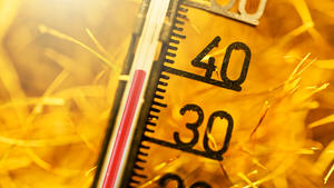 Thermometer bei fast 40 Grad Celsius auf vertrocknetem Gras, Symbolfoto Hitzewelle / action press