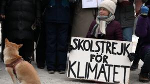 ARCHIV - 01.02.2019, Schweden, Stockholm: Die damals 16-jährige Schwedin Greta Thunberg demonstriert vor dem Reichstag in Stockholm für mehr Klimaschutz mit einem Plakat «skolstrejk for klimatet» (Schulstreik für das Klima). (zu dpa «Fünf Jahre Klimastreiks: Neubauer rügt Widerstände in der Politik») Foto: Steffen Trumpf/dpa +++ dpa-Bildfunk +++
