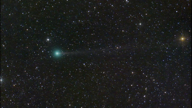 HANDOUT - 05.09.2023, ---, -: Das Bild zeigt den Kometen C/2023 (grün), auch «Nishimura» genannt (Bestmögliche Bildqualität). Schaulustige haben derzeit bei klarem Himmel Chancen, erneut einen grünen Kometen zu sehen. (zu dpa «Erneut grüner Komet zu sehen - «Nishimura» erst kürzlich entdeckt») Foto: Dan Bartlett/dpa - ACHTUNG: Nur zur redaktionellen Verwendung im Zusammenhang mit der aktuellen Berichterstattung und nur mit vollständiger Nennung des vorstehenden Credits +++ dpa-Bildfunk +++