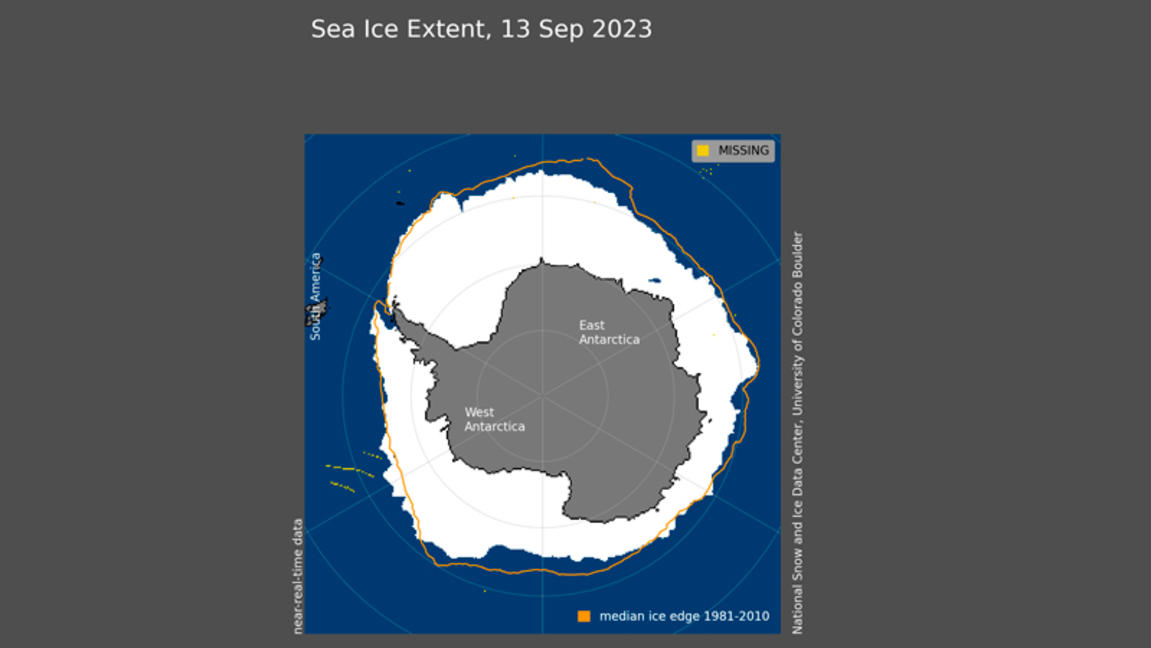Der Lebensraum der Pinguine in der Antarktis ist bedroht.