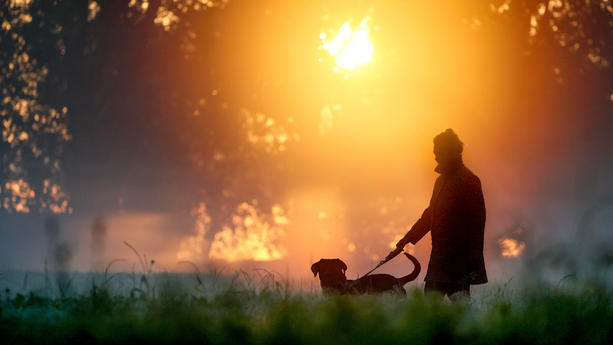 29.09.2023, Baden-Württemberg, Riedlingen: Eine Frau geht am Morgen kurz nach Sonnenaufgang im gelb verfärbten Nebel mit ihrem Hund spazieren. Foto: Thomas Warnack/dpa +++ dpa-Bildfunk +++