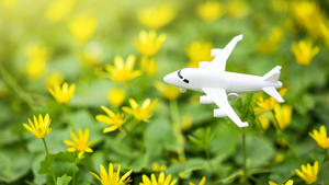 CO2 vermeiden beim Fliegen