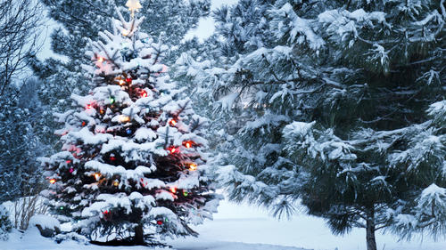 Weiße Weihnachten