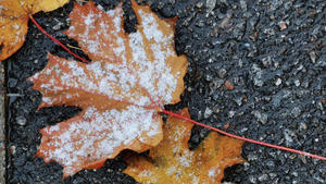 Erster Schnee im Herbst