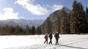 Three pedestrians enjoy the winter landscape while walking in direction Falzthurtal near Pertisau, Austria, after the first snowfall of the season covered the area with a white blanket, Thursday, 02 November 2006. EPA/ROBERT PARIGGER +++(c) dpa - Bildfunk+++