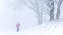 26.11.2023, Baden-Württemberg, Oberried: Eine Frau geht mit Wanderstöcken auf dem Schauinsland einen verschneiten Weg entlang. Schneefall lockt viele Menschen im Südwesten vor die Haustüre. Foto: Philipp von Ditfurth/dpa +++ dpa-Bildfunk +++