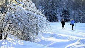 31.12.2023, Finnland, Espoo: Skifahrer auf Oittaa am Silvesterabend. Das neue Jahr wird in Finnland bei klarem und kaltem Frostwetter gefeiert. Foto: Heikki Saukkomaa/Lehtikuva/dpa +++ dpa-Bildfunk +++