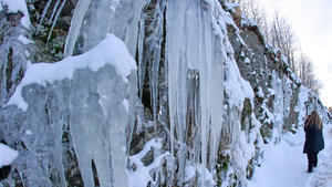 18.01.2024, Sachsen-Anhalt, Tanne: Eiszapfen bilden sich an einer Felswand in Tanne. In den kommenden Tagen wird das Wetter etwas freundlicher bei steigenden Temperaturen. Foto: Matthias Bein/dpa +++ dpa-Bildfunk +++