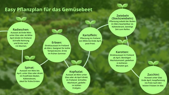 Gemüsegarten anlegen Anbauplan, Pflanzplan und wertvolle Tipps mit