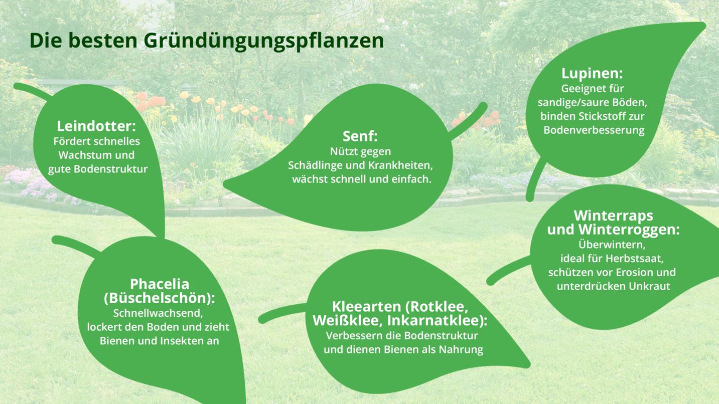 Gemüsegarten anlegen Anbauplan, Pflanzplan und wertvolle Tipps mit