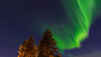 Nordlichter über Finnland am Nachthimmel, links neben den Polarlichtern befinden sich zwei Bäume.