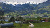 ARCHIV - 22.05.2021, Bayern, Rettenberg: Kühe stehen auf einer Allgäuer Weide. Dank des warmen Wetters beginnt die Weidesaison auf fast allen Alpen und Almen in Bayern früh. (zu dpa: «Auf in luftige Höhen - Der Bergsommer steht bevor») Foto: Karl-Josef Hildenbrand/dpa +++ dpa-Bildfunk +++