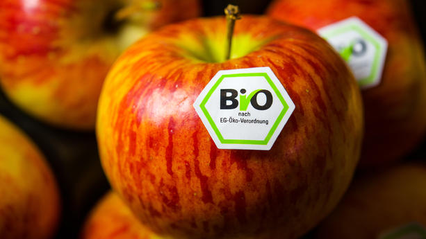ARCHIV - 13.02.2013, Bayern, Nürnberg: Äpfel mit Bio-Siegel liegen an einem Stand auf der BioFach-Messe. Ökologische Landwirtschaft gewinnt in Niedersachsen zunehmend an Bedeutung. (zu dpa: «Mehr Bio in den Höfen - und auf den Tellern?») Foto: David-Wolfgang Ebener/dpa +++ dpa-Bildfunk +++