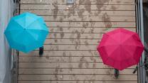 ARCHIV - 11.04.2023, Sachsen, Dresden: Passanten gehen unter Regenschirmen spazieren. (zu dpa: «Regenwetter mit Graupel und Schnee in Sachsen») Foto: Sebastian Kahnert/dpa +++ dpa-Bildfunk +++