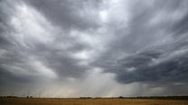 ARCHIV - 19.07.2023, Sachsen-Anhalt, Lützen: Eine Regenfront zieht über ein Getreidefeld hinweg. (zu dpa: «Vielerorts Regenwetter erwartet · Besserung zum Feiertag in Sicht») Foto: Jan Woitas/dpa +++ dpa-Bildfunk +++