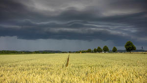 ARCHIV - 21.06.2023, Bayern, Augsburg: Gewitterwolken ziehen über die Region Augsburg. (zu dpa: «Vereinzelt Starkregen in Bayern erwartet») Foto: Bernd März/dpa +++ dpa-Bildfunk +++