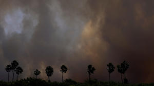Smoke from a fire rises into the air in the Pantanal, the world's largest wetland, in Corumba, Mato Grosso do Sul state, Brazil, June 10, 2024. REUTERS/Ueslei Marcelino     TPX IMAGES OF THE DAY