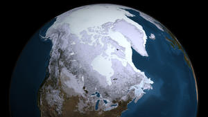 Klimaerwärmung in arktischer Tundra beschleunigt sich selbst