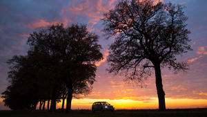 Ein Auto fährt auf einer Allee im Sonnenuntergang am 26.10.2013 im Landkreis Oder-Spree zwischen Petersdorf und Sieversdorf (Brandenburg). Foto: Patrick Pleul/dpa +++(c) dpa - Bildfunk+++