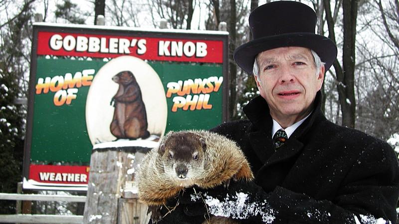 William Cooper hält das Murmeltier Phil in Gobbler's Knob, einem Waldstück bei Punxsutawney (Pennsylvania), auf seinem Arm (Archivbild vom Dezember 2003).  Einmal im Jahr wird Murmeltier "Phil" zum Weltstar und eine kleine amerikanische Geme
