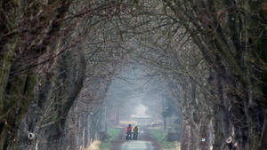 Zwei Radfahrer sind bei neblig, regnerisch und trübem Wetter am 18.03.2014 im Naturschutzgebiet Mönchbruch bei Mörfelden-Walldorf (Hessen) in einer Baumallee unterwegs. In den kommenden Tagen soll sich auch die Sonne immer wieder durchsetzen. Foto: Boris Roessler/dpa +++(c) dpa - Bildfunk+++
