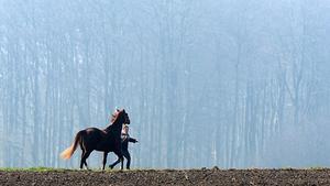 Bei frühlingshaftem Wetter führt eine junge Frau am 29.03.2014 zwischen zwei Feldern bei Horneburg (Niedersachsen) ihr Pferd auf eine Koppel. Foto: Ingo Wagner/dpa +++(c) dpa - Bildfunk+++
