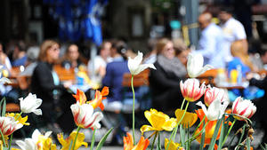 Gäste sitzen am 06.05.2014 in München (Bayern) in einem Biergarten, vor dem bunte Tulpen blühen. Foto: Rene Ruprecht/dpa +++(c) dpa - Bildfunk+++