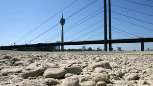 Ausgetrocknet ist das Ufer des Rheins in Düsseldorf am Mittwoch (19.07.2006). Die Schifffahrt auf dem Rhein ist durch Niedrigwasser eingeschränkt. Pro Tag sinkt der Wasserstand um bis zu zehn Zentimeter. Schwer beladene Schiffe mit einer Eintauchtiefe von mehr als drei Metern können bereits nicht mehr den Rhein befahren. Foto: Franz-Peter Tschauner dpa/lnw (zu lnw 7215 vom 19.07.2007) +++(c) dpa - Report+++